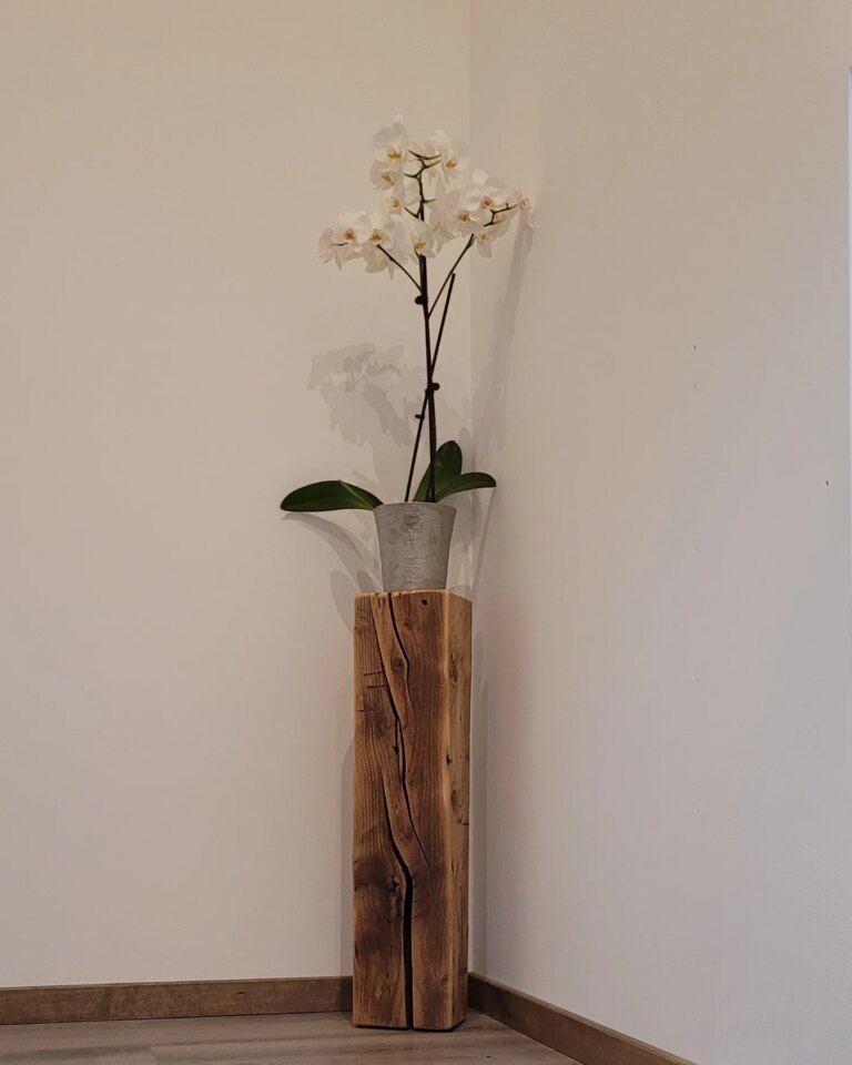 IMG 20220717 181544 256